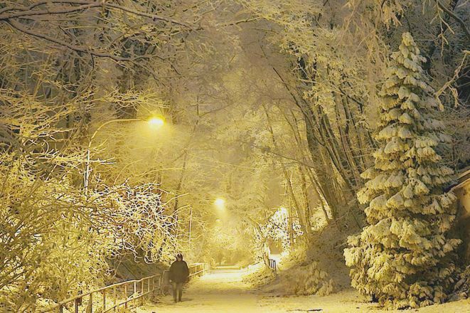 Bratysława zamienia się w śnieżną krainę czarów. Zobacz zachwycające zdjęcia