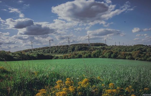 Sektor energetyczny stawia przed inwestorami wyzwania – i oferuje ogromny potencjał