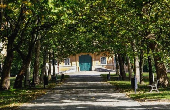 Záhorie odkryte: Cichy zakątek Słowacji pełen niespodzianek