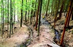 Od uprowadzonych samolotów po stawy - Turiec na północy Słowacji ma wiele do zaoferowania
