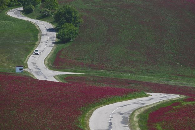 Przegląd wiadomości: Brutalna grupa przestępcza w Bratysławie aresztowana