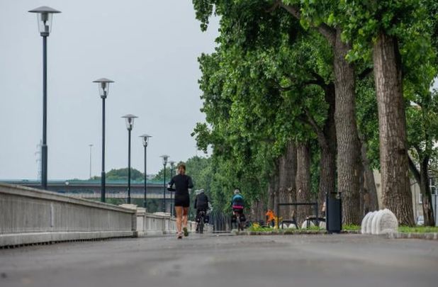 Przegląd wiadomości: Zaginięcie damy z renesansu, ministerstwo zbywa 'głupie pytania'