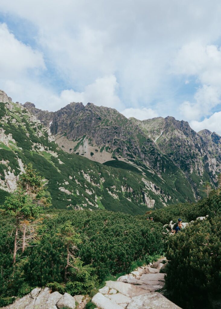 Autobus w końcu łączy polskie i słowackie Tatry