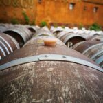 10 największych producentów wina na Słowacji: Kto dominuje w przemyśle wartym miliony euro