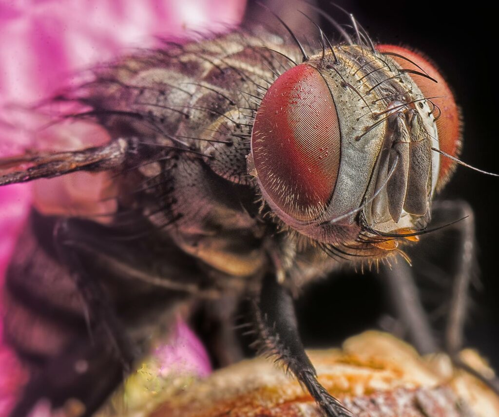 Przegląd wiadomości: brzydka godzina parlamentu - Fico obwinia matkę, Kaliňák podsyca obawy związane z HIV