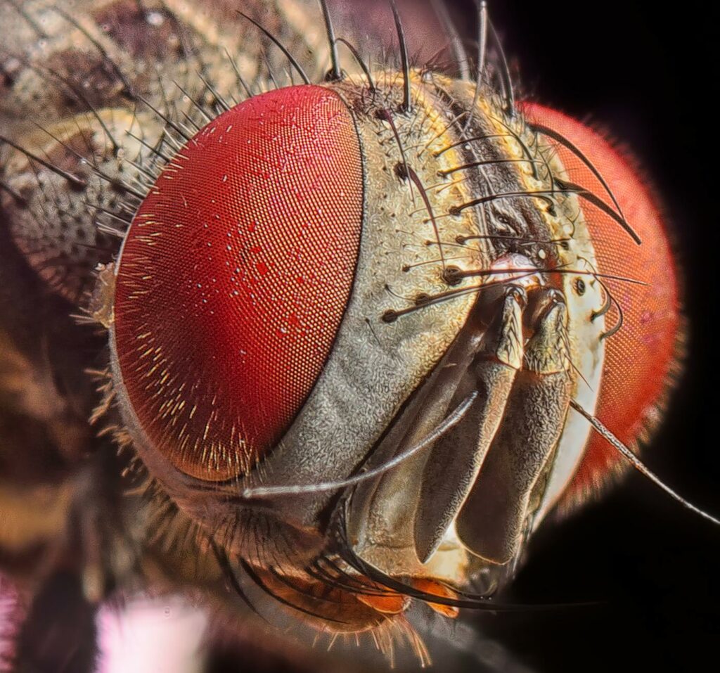 Przegląd wiadomości: brzydka godzina parlamentu - Fico obwinia matkę, Kaliňák podsyca obawy związane z HIV