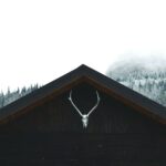 Przegląd wiadomości: Najlepsze umysły Słowacji kierują się na zachód w obliczu nadchodzących podwyżek podatków