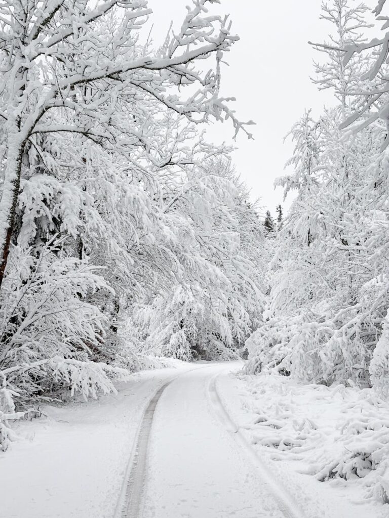 Spacer przez zaśnieżony las nad Bratysławą