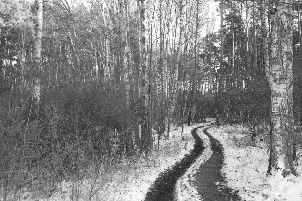 Spacer przez zaśnieżony las nad Bratysławą