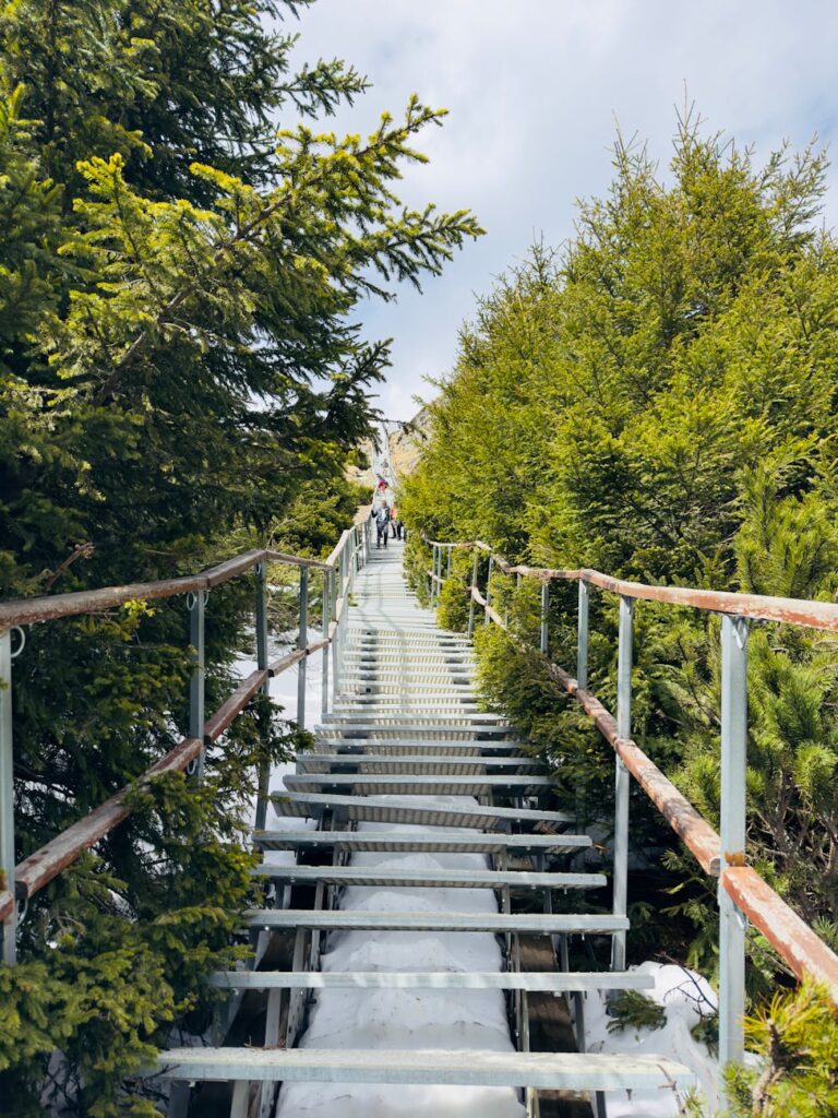 Spacer przez zaśnieżony las nad Bratysławą
