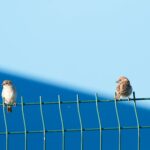 Małe reaktory modułowe otrzymują zielone światło na Słowacji