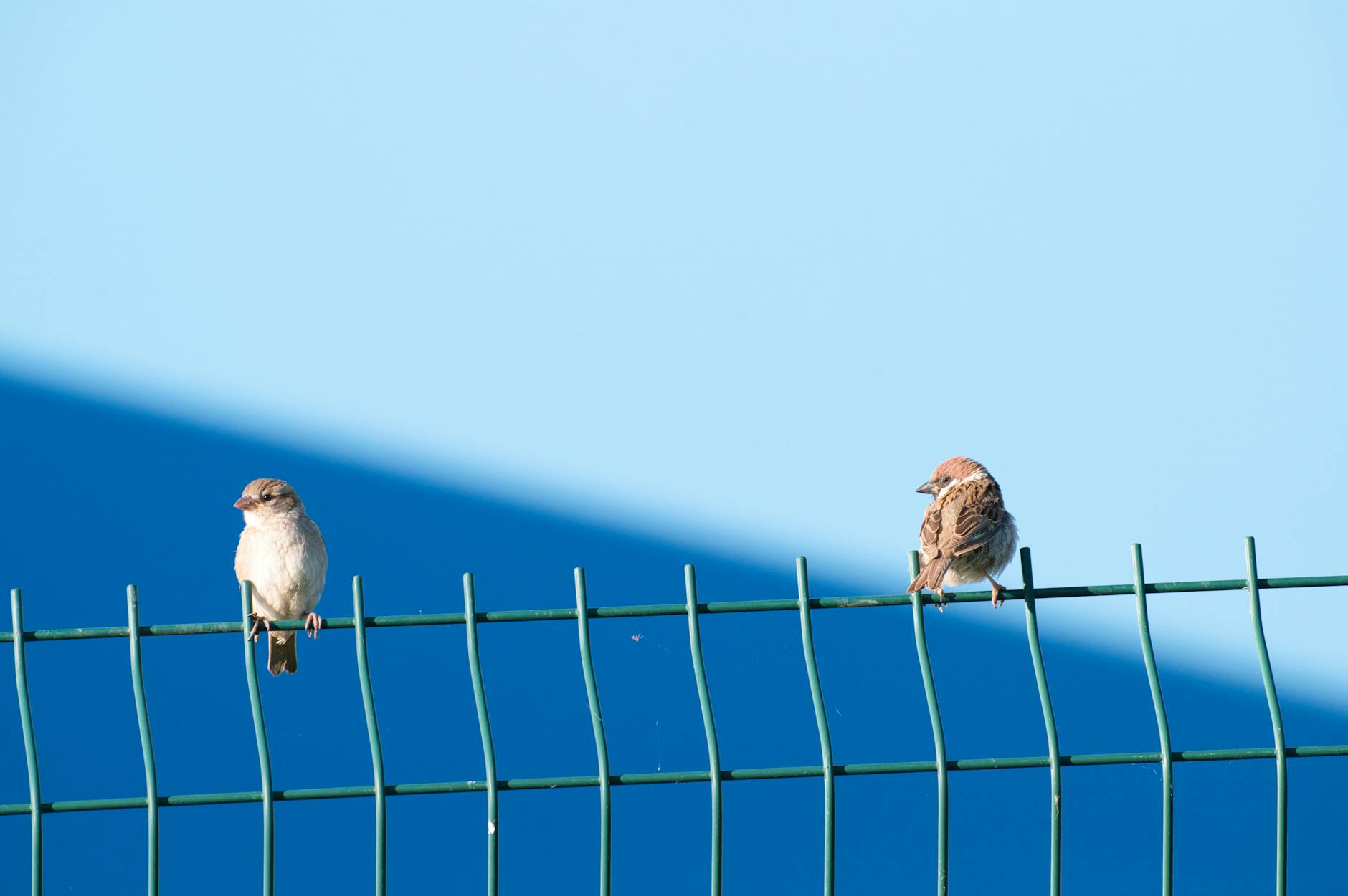 Małe reaktory modułowe otrzymują zielone światło na Słowacji