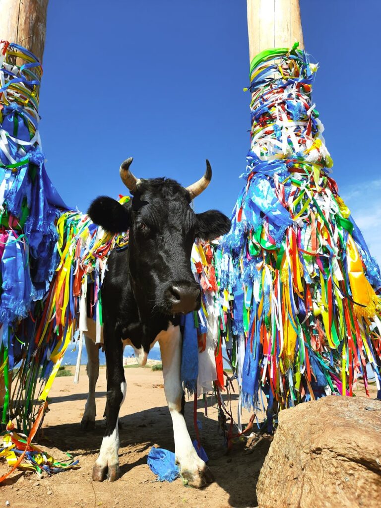News digest: Fico’s sacred cow
