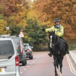 Police drop probe into alleged UK election interference