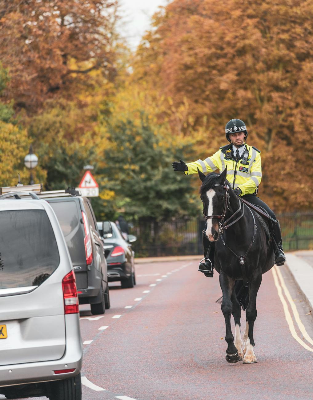 Police drop probe into alleged UK election interference