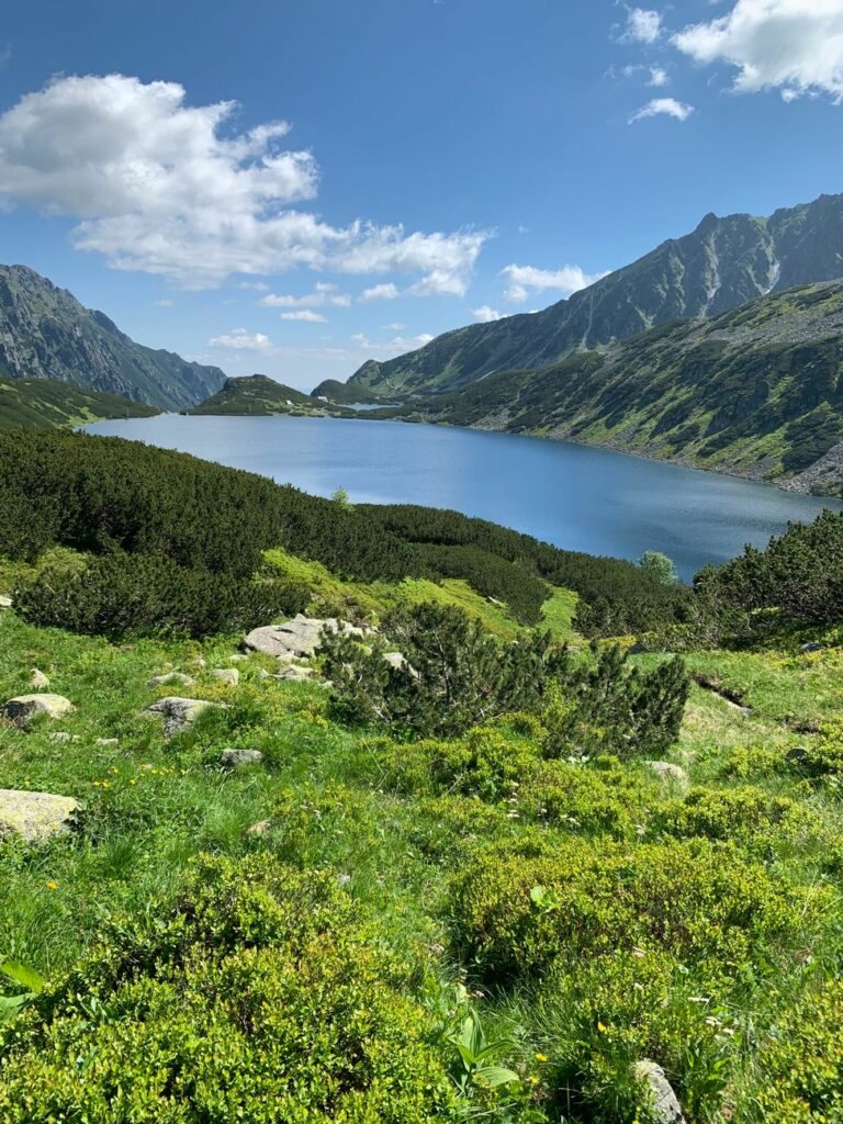 News digest: A 500-km journey on one of Slovakia's hottest days. A bear travels to Poland