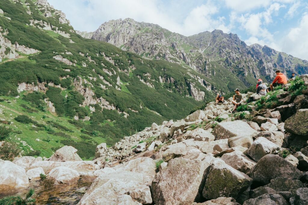 News digest: A 500-km journey on one of Slovakia's hottest days. A bear travels to Poland
