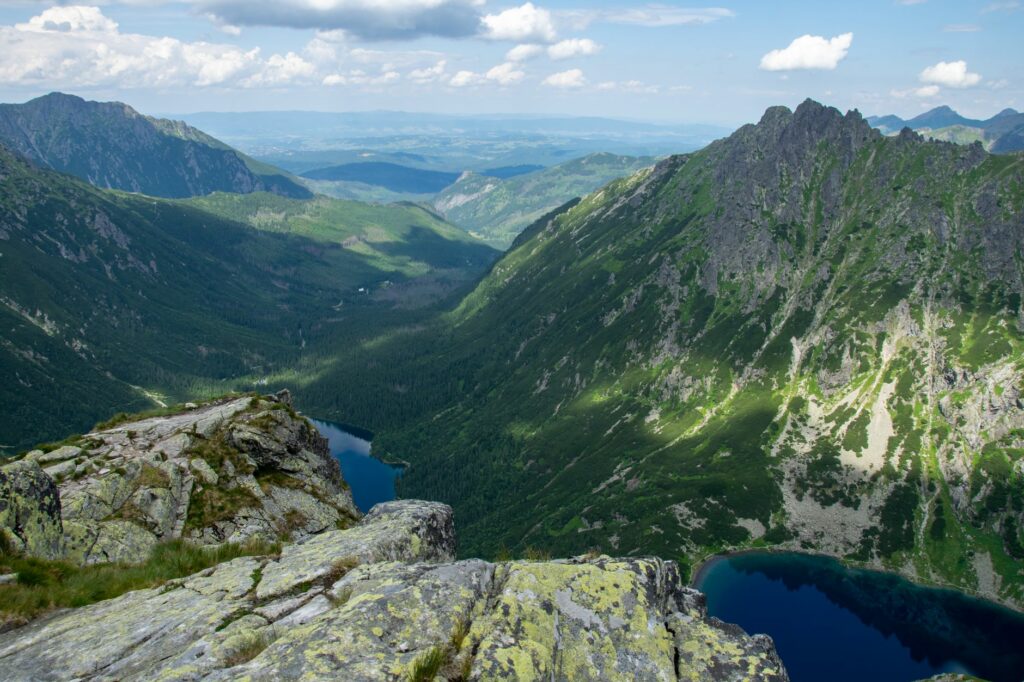 News digest: A 500-km journey on one of Slovakia's hottest days. A bear travels to Poland